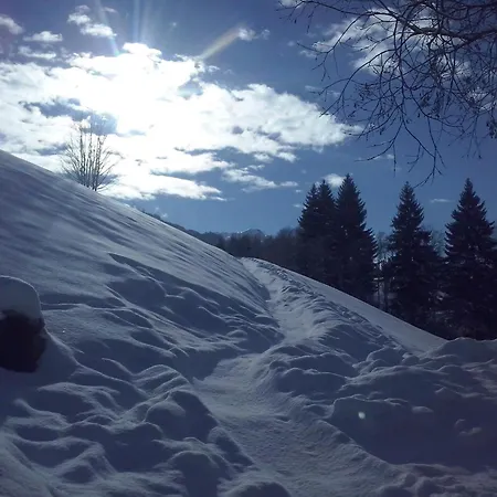 Lemberger * יואכברג