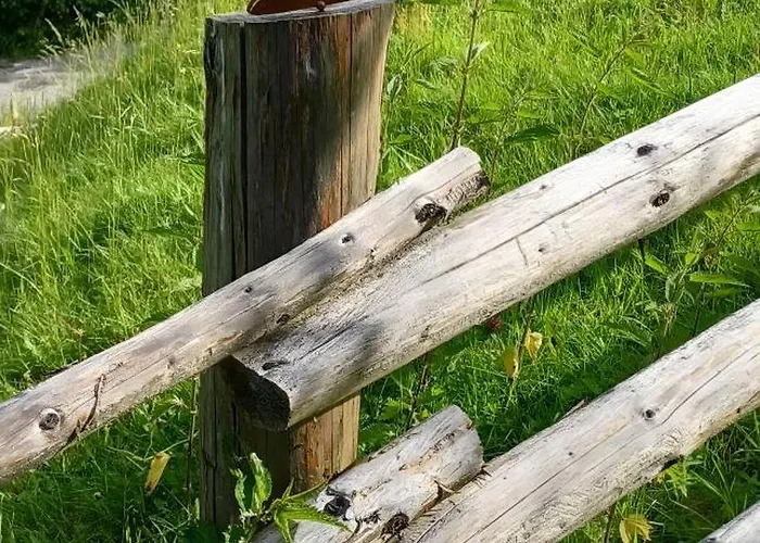 Lemberger יואכברג