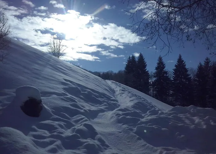 Lemberger * יואכברג